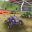 Buggy Rider