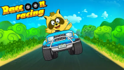 Raccoon Racing